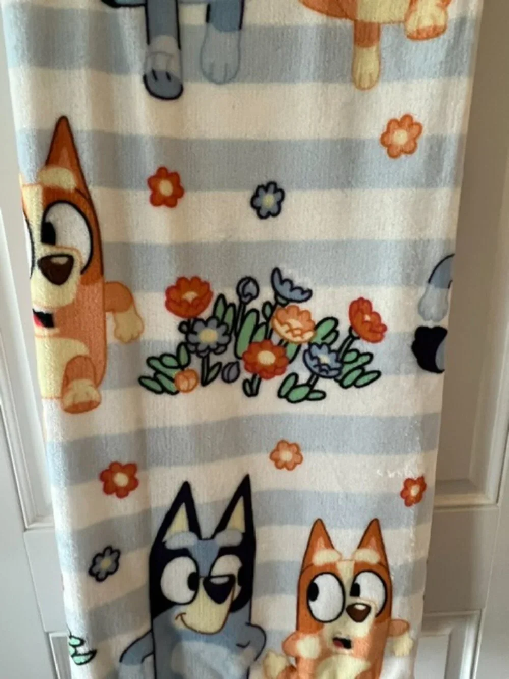 BLUEY SPRING OVERSIZED BLANKET